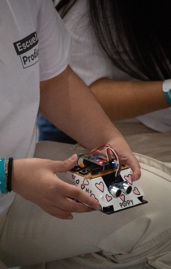 Escuela Prodigy — foto 19